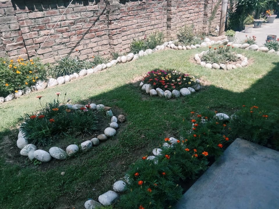 "My Mother Calls It Gardening. Is It Art?" by Sabahat Ali Wani